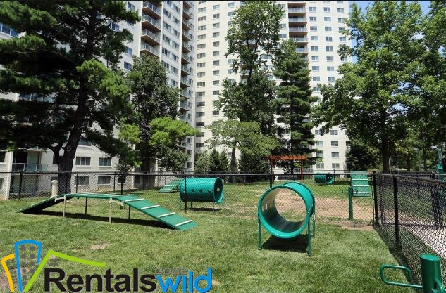 Dog Park