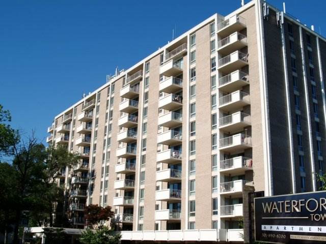 silver-spring-583