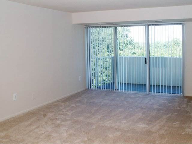 silver-spring-543